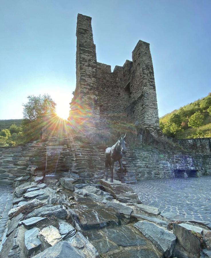 Roosartige Ferien - Am Weiherturm