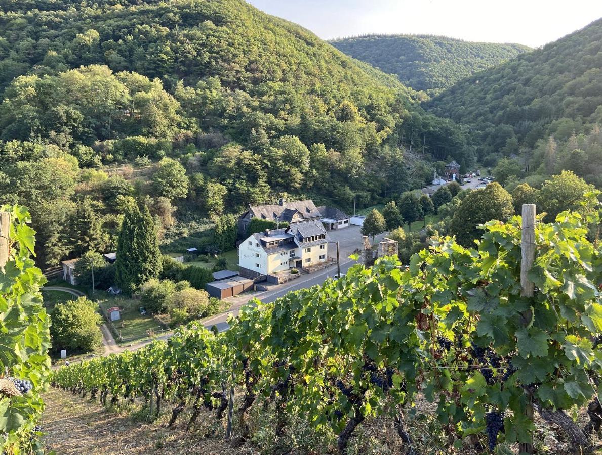 Roosartige Ferien - Am Weiherturm