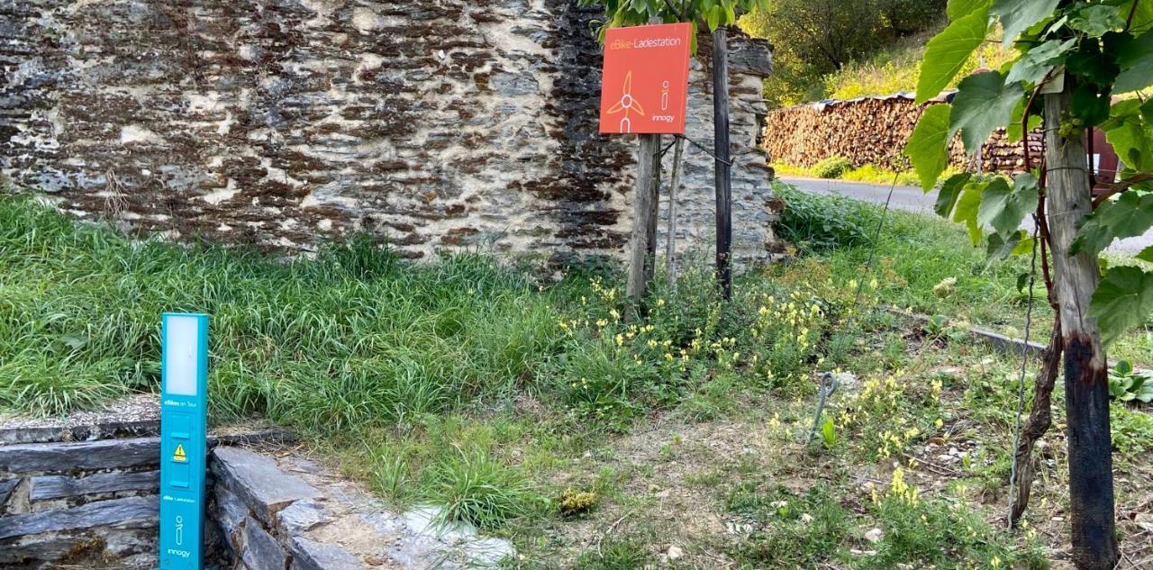 Roosartige Ferien - Am Weiherturm *